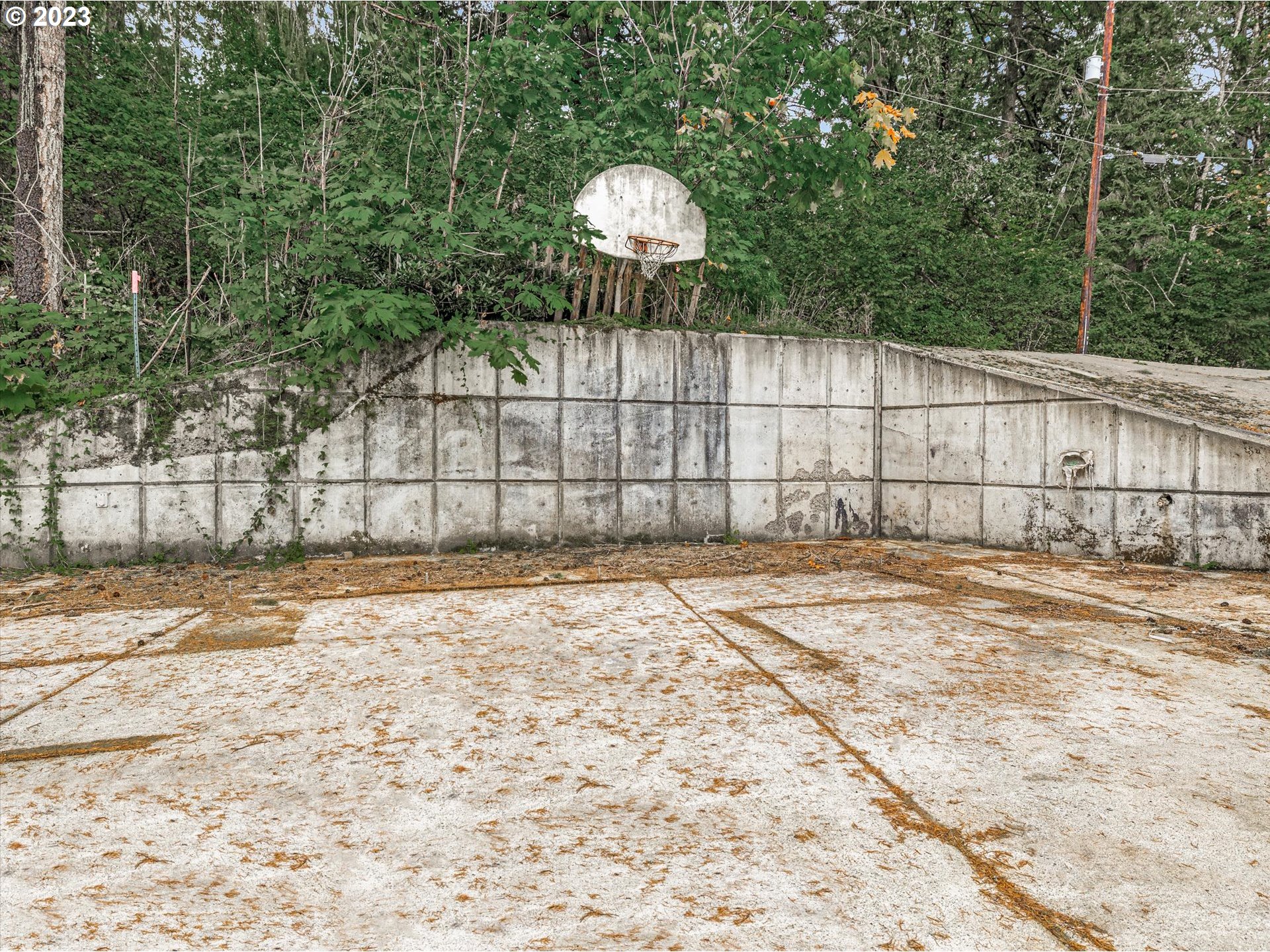 6160 Northwest Kiacut Road Gaston, OR 97119 - Photo 18 of 18 a view of a backyard