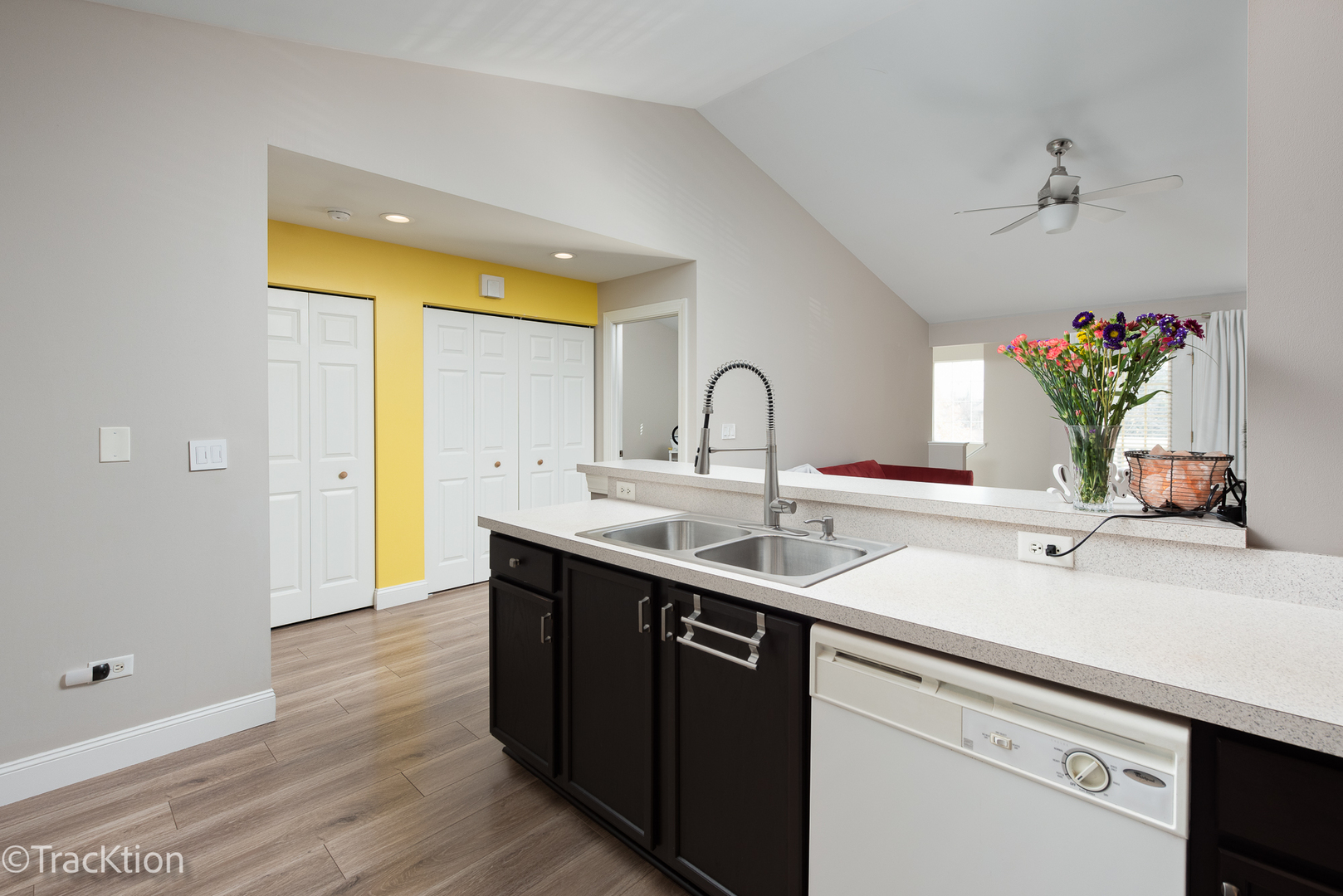 1610 McClure Road, Unit 1610 Aurora, IL 60505 - Photo 7 of 16 a kitchen with a sink and a potted plant
