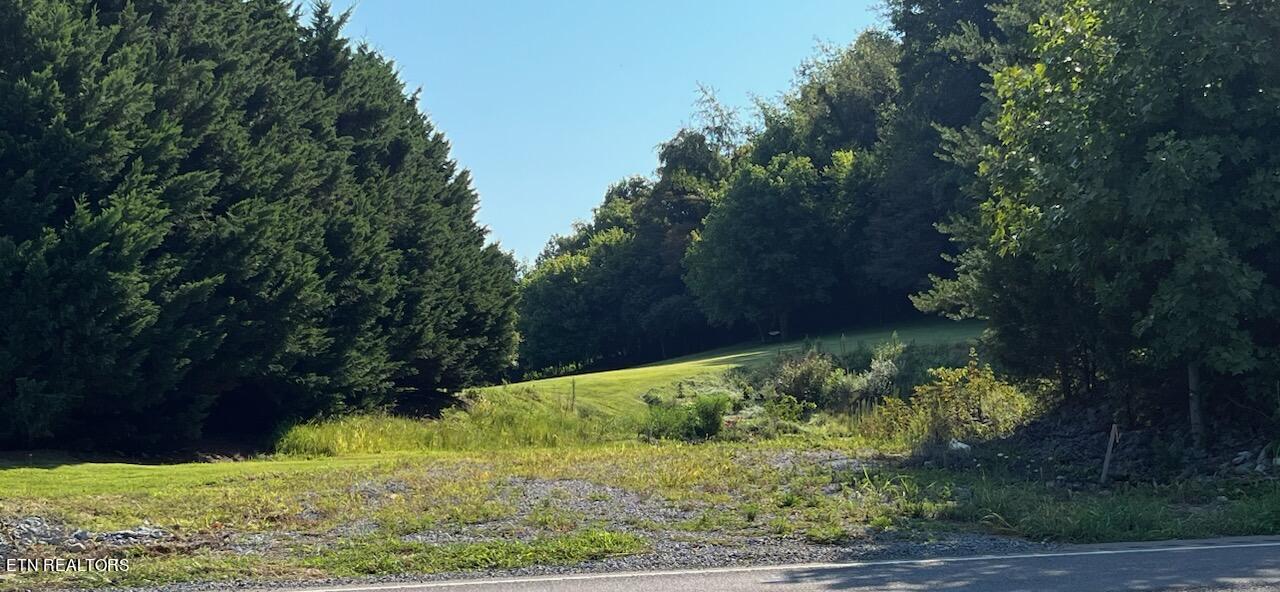 Baileyton Road Greeneville, TN 37745 - Photo 1 of 4 3(1)