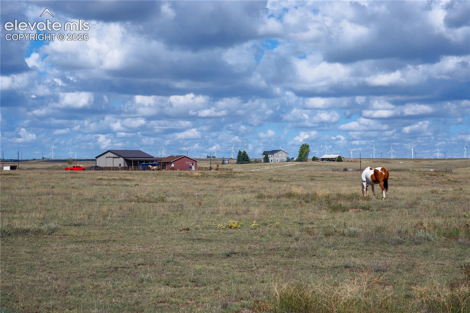 37485 Judge Orr Road Calhan, CO 80808 - Photo 46 of 50 near the back of the 35 acres property. horses grazing