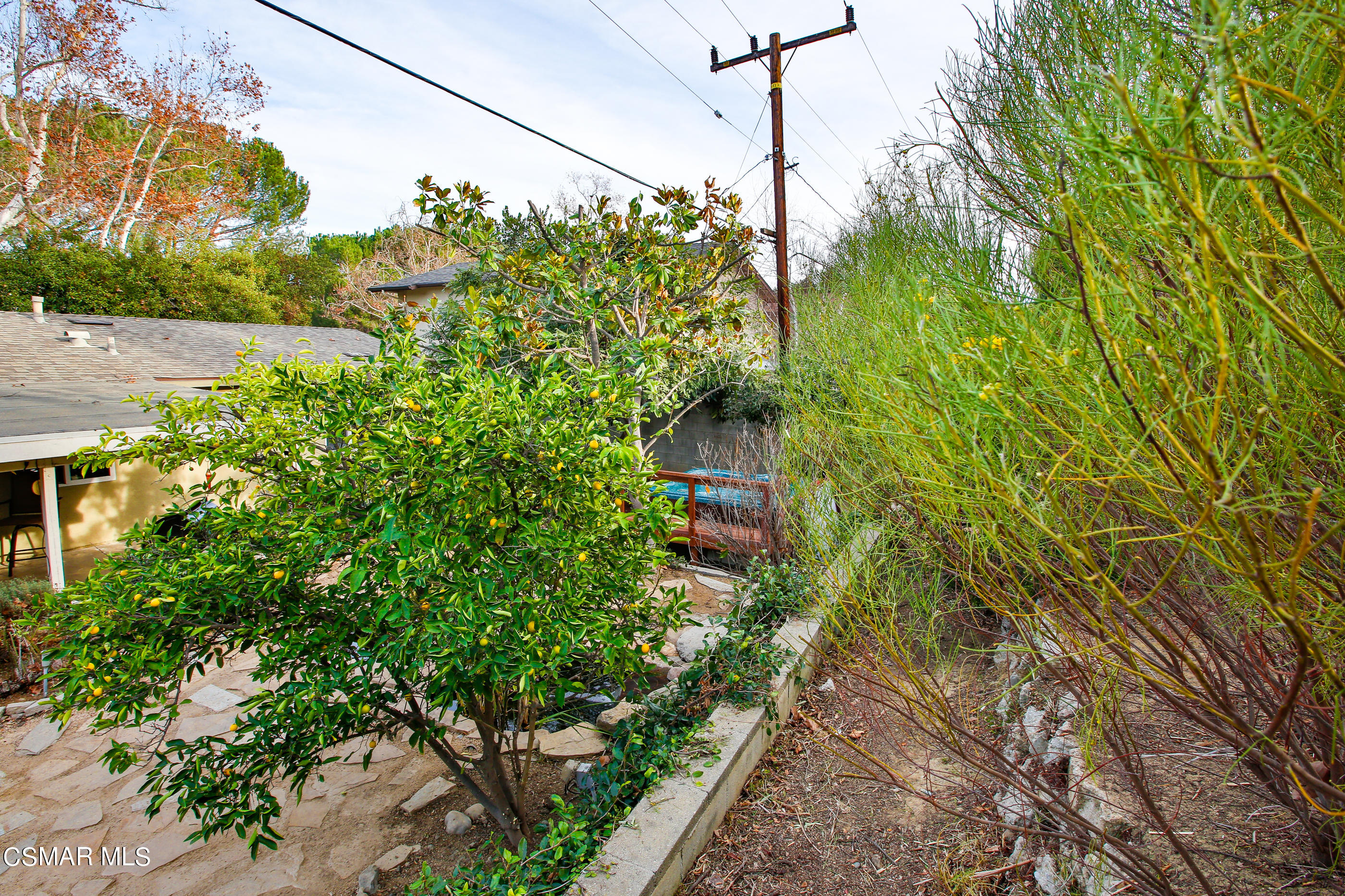 807 Talbert Avenue Simi Valley, CA 93065 - Photo 33 of 33 a view of a yard with plants