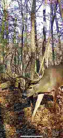 $409,900 | 3 Dd Highway, Richland Center, WI 53581