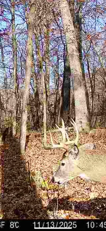 $409,900 | 3 Dd Highway, Richland Center, WI 53581