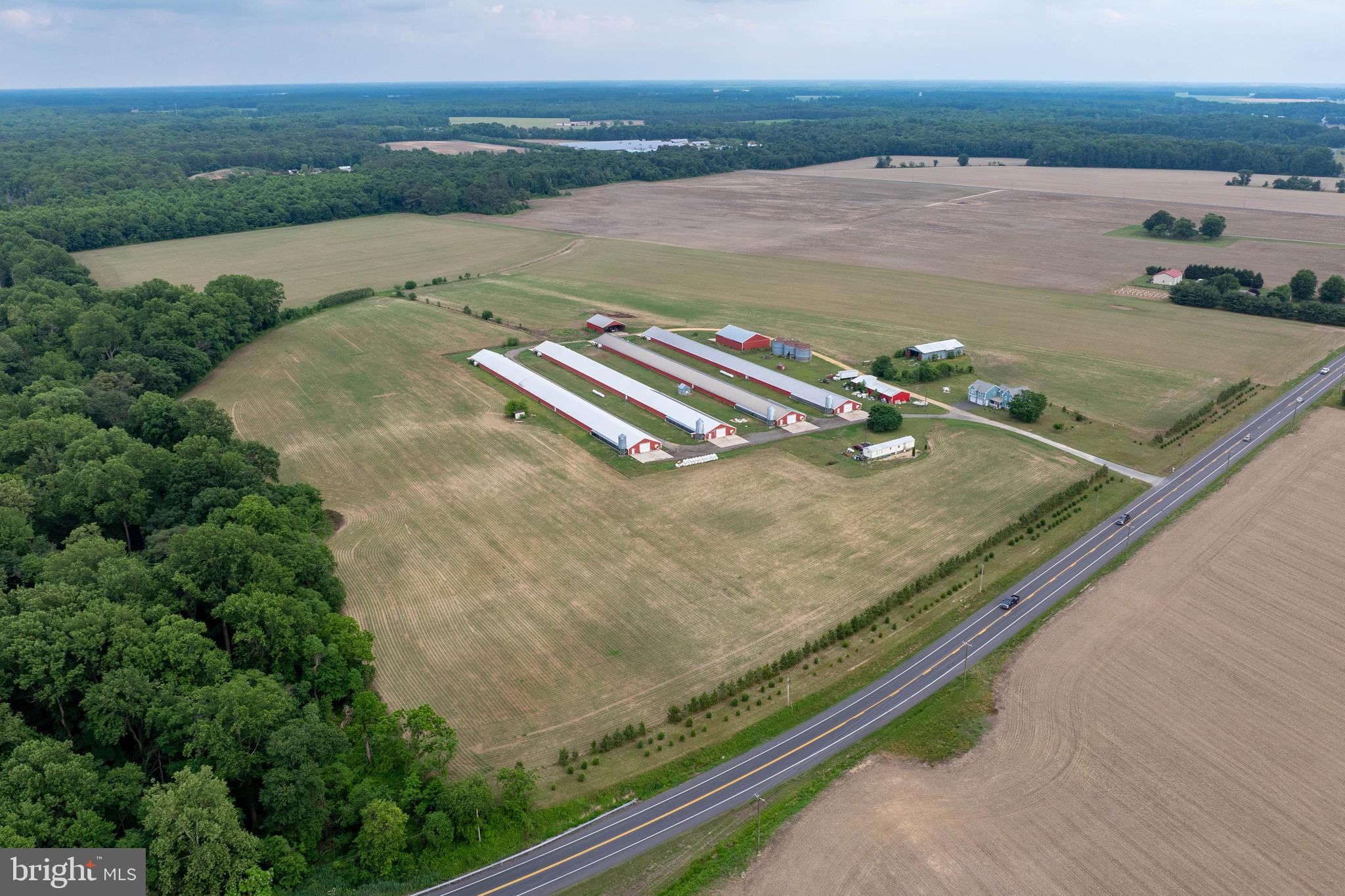 7347 Harmony Road Preston, MD 21655 - Photo 1 of 63 Aerial View of Farm & House