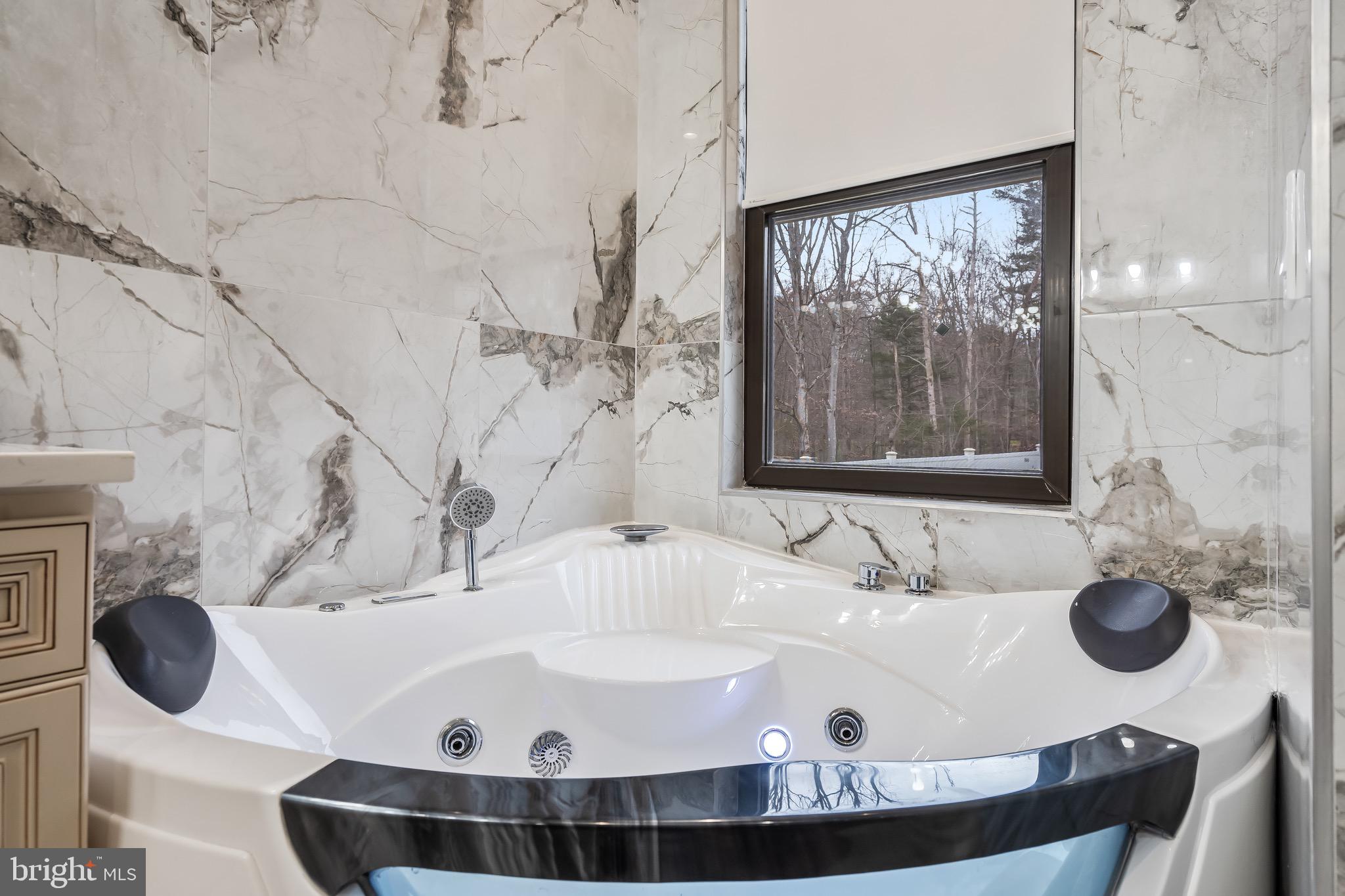 24035 New Mountain Road Aldie, VA 20105 - Photo 56 of 118 a bathroom with a tub and sink