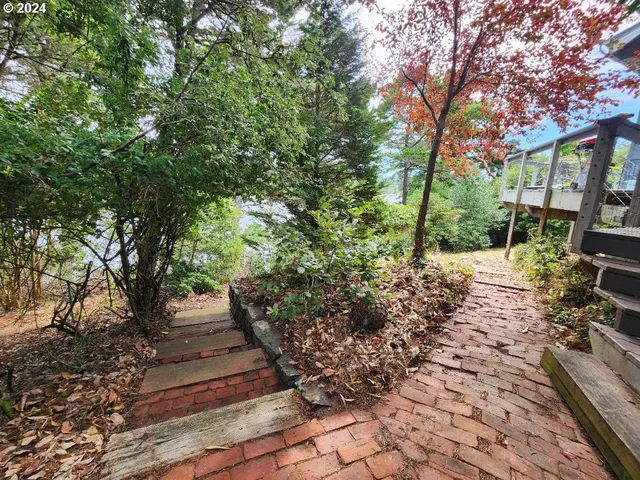 a view of a yard with plants and trees