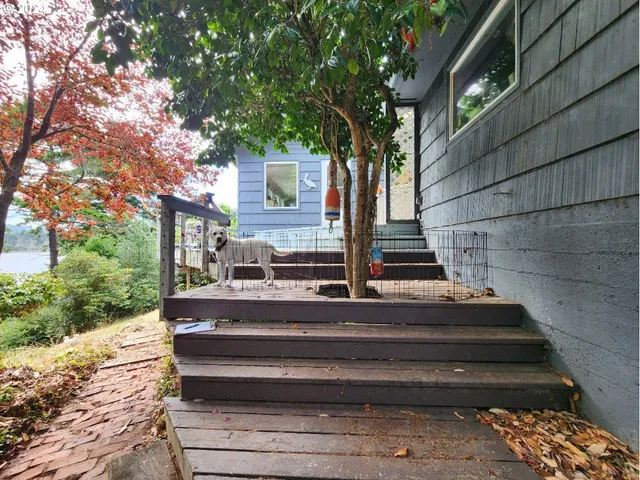 a view of backyard with wooden stairs and large trees
