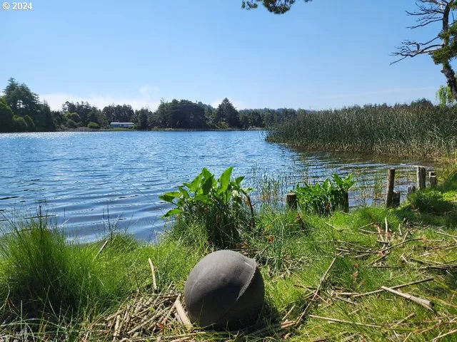 a view of lake with tree in background