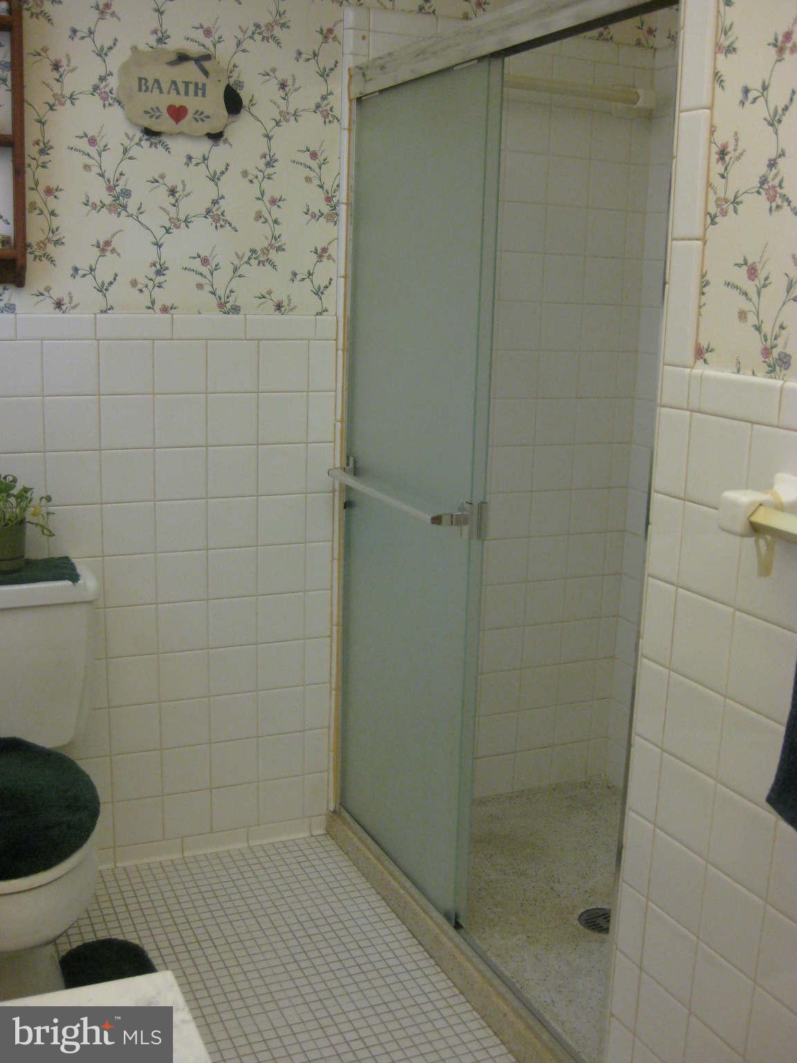 1406 Midmeadow Road Baltimore, MD 21286 - Photo 11 of 22 Bath (Master)