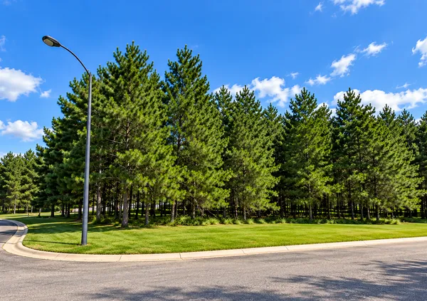 $65,900 | Tbd Tbd Emerald Drive, Alexandria, MN 56308