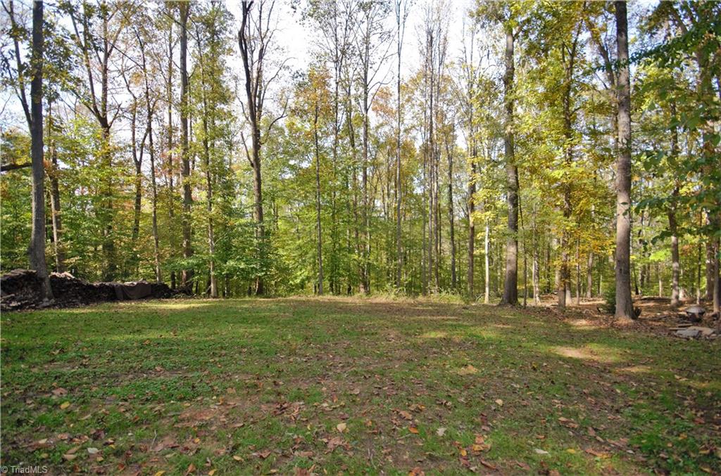 2609 River Run Road Browns Summit, NC 27214 - Photo 11 of 24 Gallery Image 11