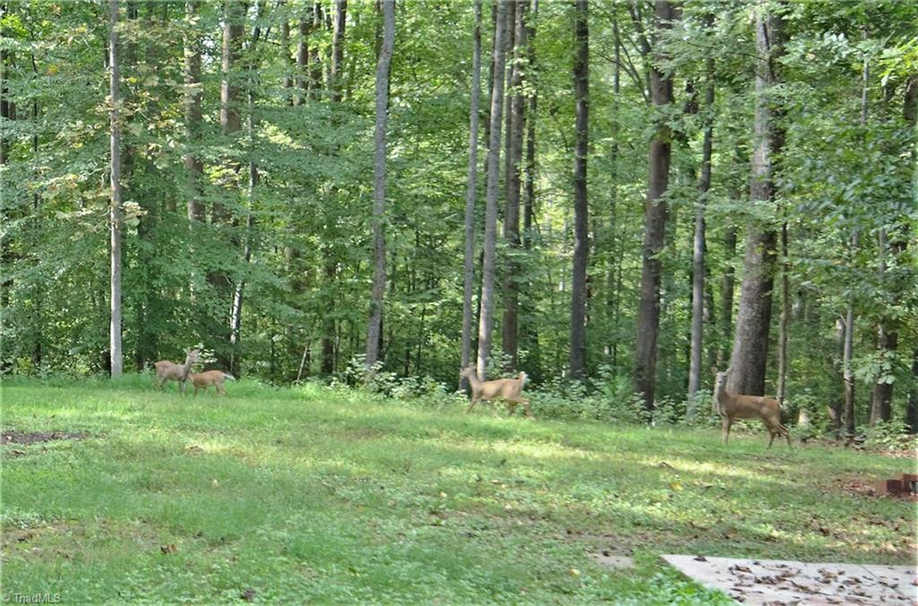 2609 River Run Road Browns Summit, NC 27214 - Photo 8 of 24 Gallery Image 8