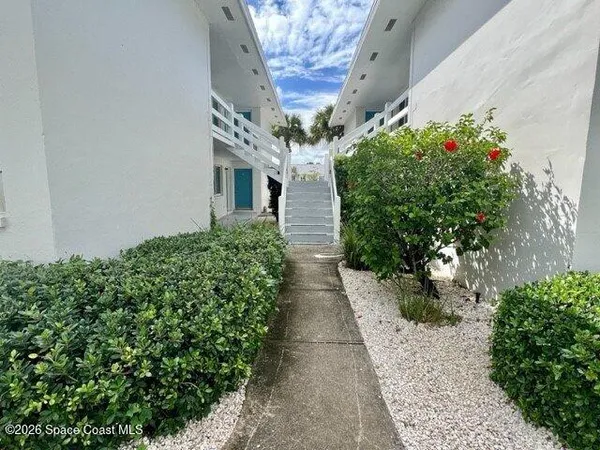 a view of a pathway with plants
