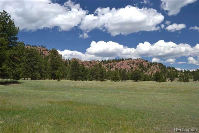 1097 County 111 Road Florissant, CO 80816 - Photo 1 of 28 Gallery Image 1