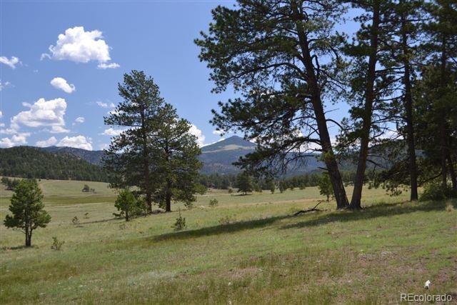 1097 County 111 Road Florissant, CO 80816 - Photo 11 of 28 Gallery Image 11