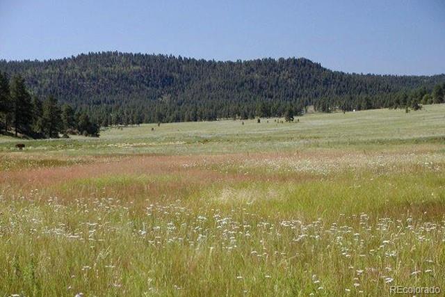 1097 County 111 Road Florissant, CO 80816 - Photo 13 of 28 Gallery Image 13