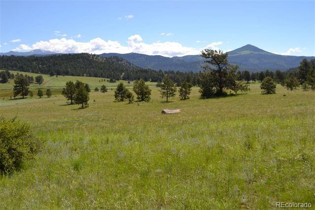1097 County 111 Road Florissant, CO 80816 - Photo 14 of 28 Gallery Image 14