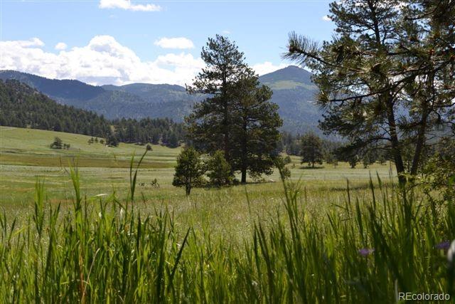 1097 County 111 Road Florissant, CO 80816 - Photo 15 of 28 Gallery Image 15