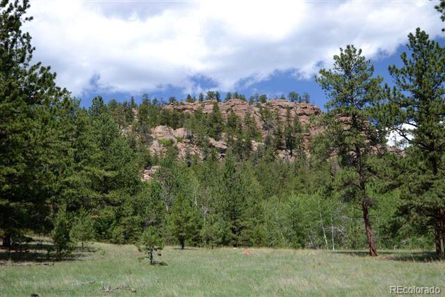 1097 County 111 Road Florissant, CO 80816 - Photo 17 of 28 Gallery Image 17