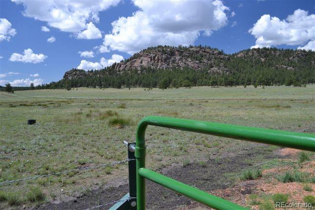 1097 County 111 Road Florissant, CO 80816 - Photo 20 of 28 Gallery Image 20