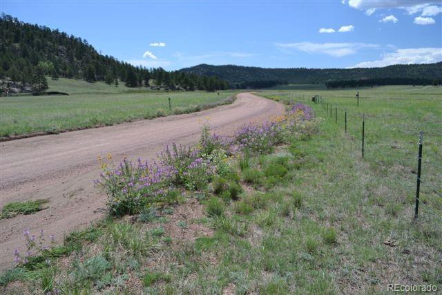 1097 County 111 Road Florissant, CO 80816 - Photo 21 of 28 Gallery Image 21