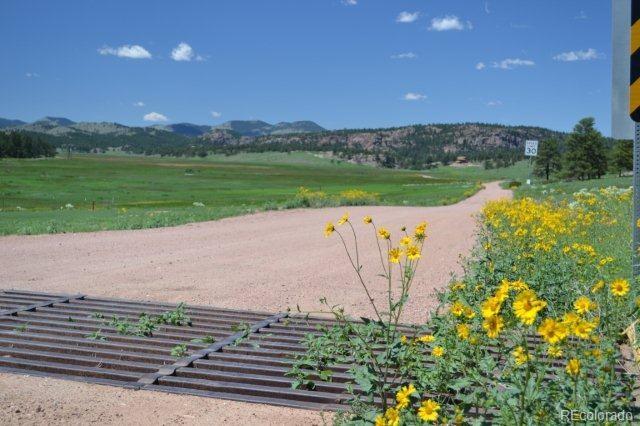 1097 County 111 Road Florissant, CO 80816 - Photo 24 of 28 Gallery Image 24