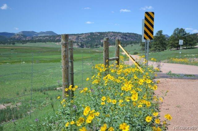 1097 County 111 Road Florissant, CO 80816 - Photo 25 of 28 Gallery Image 25