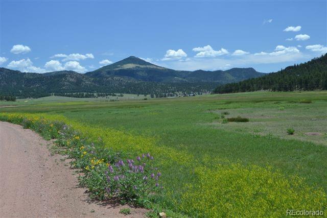 1097 County 111 Road Florissant, CO 80816 - Photo 26 of 28 Gallery Image 26