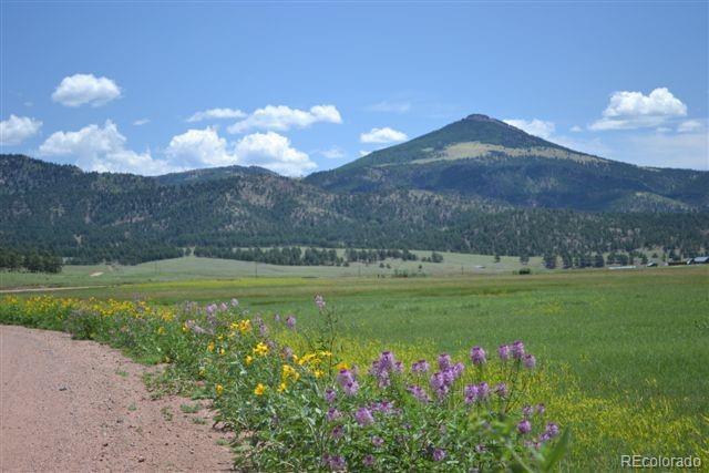 1097 County 111 Road Florissant, CO 80816 - Photo 27 of 28 Gallery Image 27