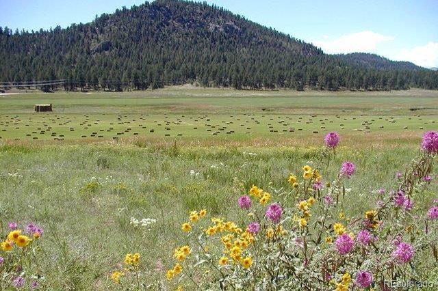 1097 County 111 Road Florissant, CO 80816 - Photo 28 of 28 Gallery Image 28