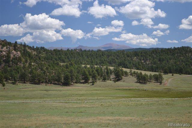 1097 County 111 Road Florissant, CO 80816 - Photo 3 of 28 Gallery Image 3