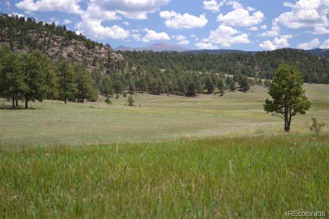 1097 County 111 Road Florissant, CO 80816 - Photo 4 of 28 Gallery Image 4