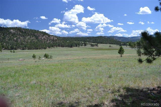 1097 County 111 Road Florissant, CO 80816 - Photo 7 of 28 Gallery Image 7