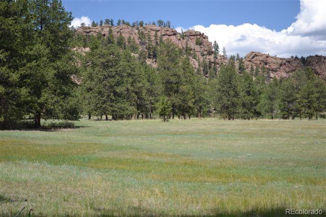1097 County 111 Road Florissant, CO 80816 - Photo 8 of 28 Gallery Image 8