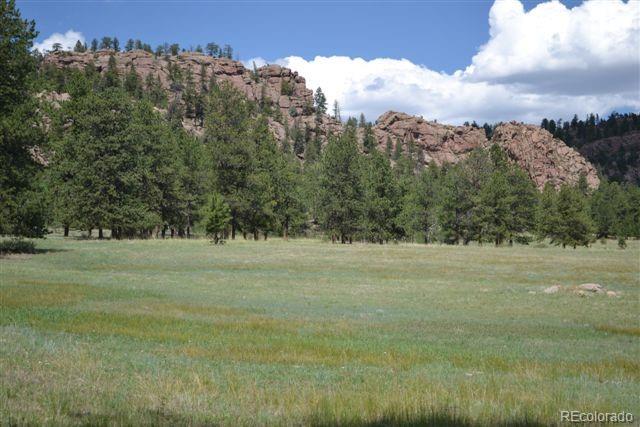 1097 County 111 Road Florissant, CO 80816 - Photo 9 of 28 Gallery Image 9