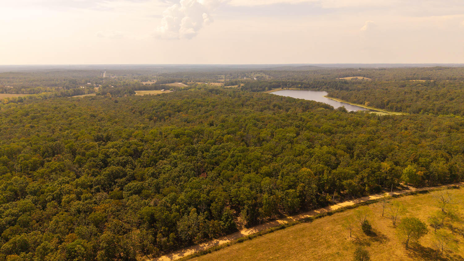0 County Road 3540 Mountain View, MO 65548 - Photo 19 of 19 Hunting Acreage in the Missouri Ozarks