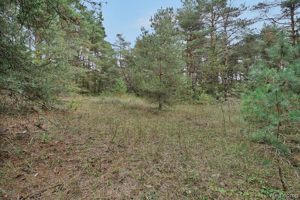 3921 Kile Road Vassar, MI 48768 - Photo 16 of 21 Gallery Image 16