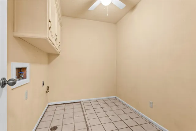 a view of a yard with plants and tree