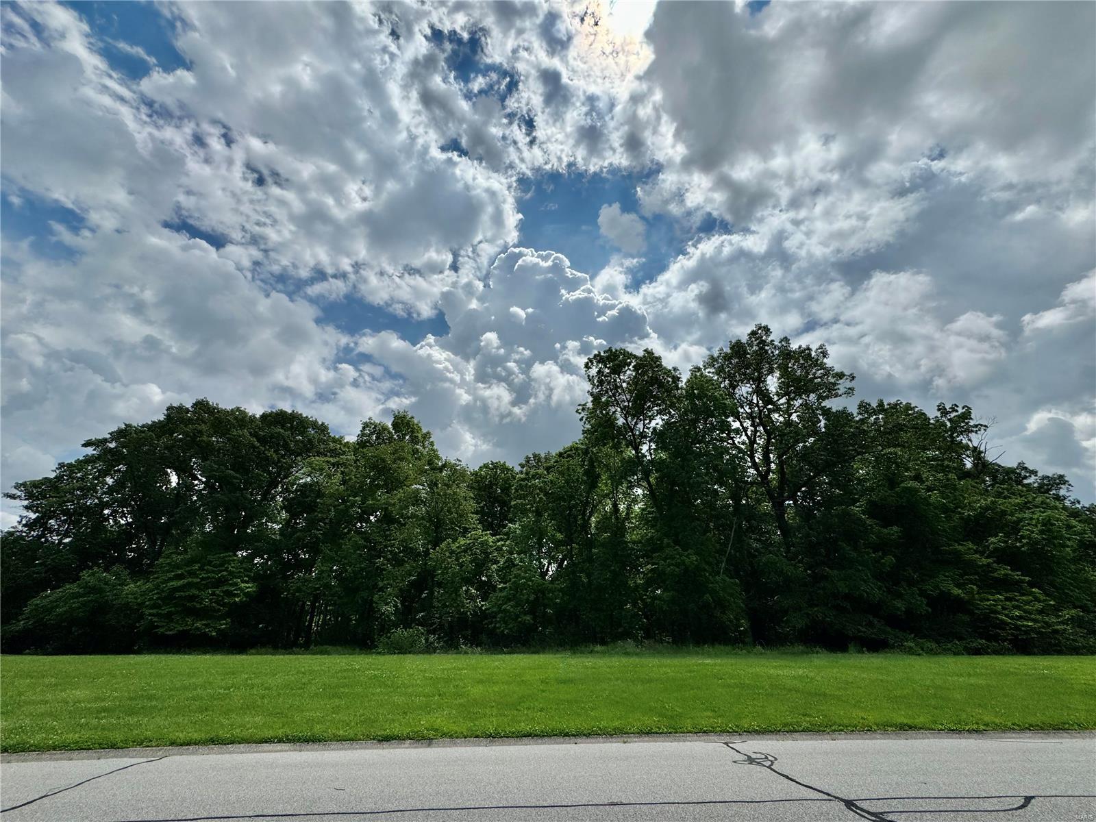 1236 Rutherford Ridge O'Fallon, IL 62269 - Photo 17 of 18