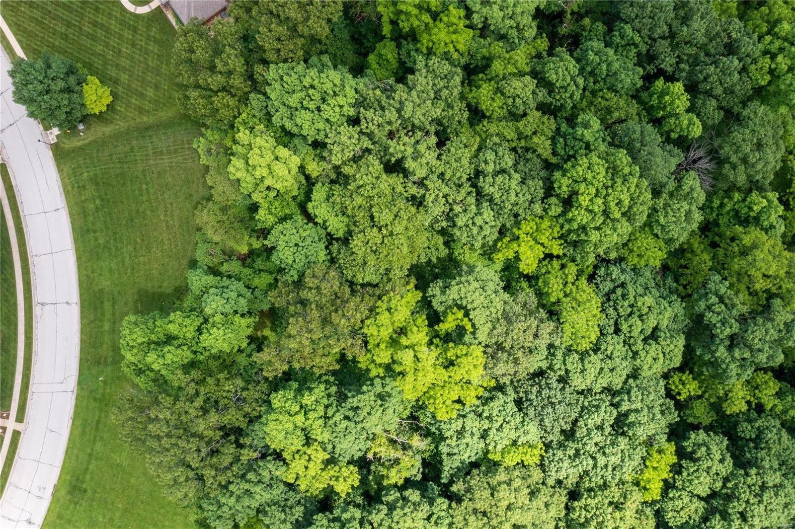 1236 Rutherford Ridge O'Fallon, IL 62269 - Photo 2 of 18