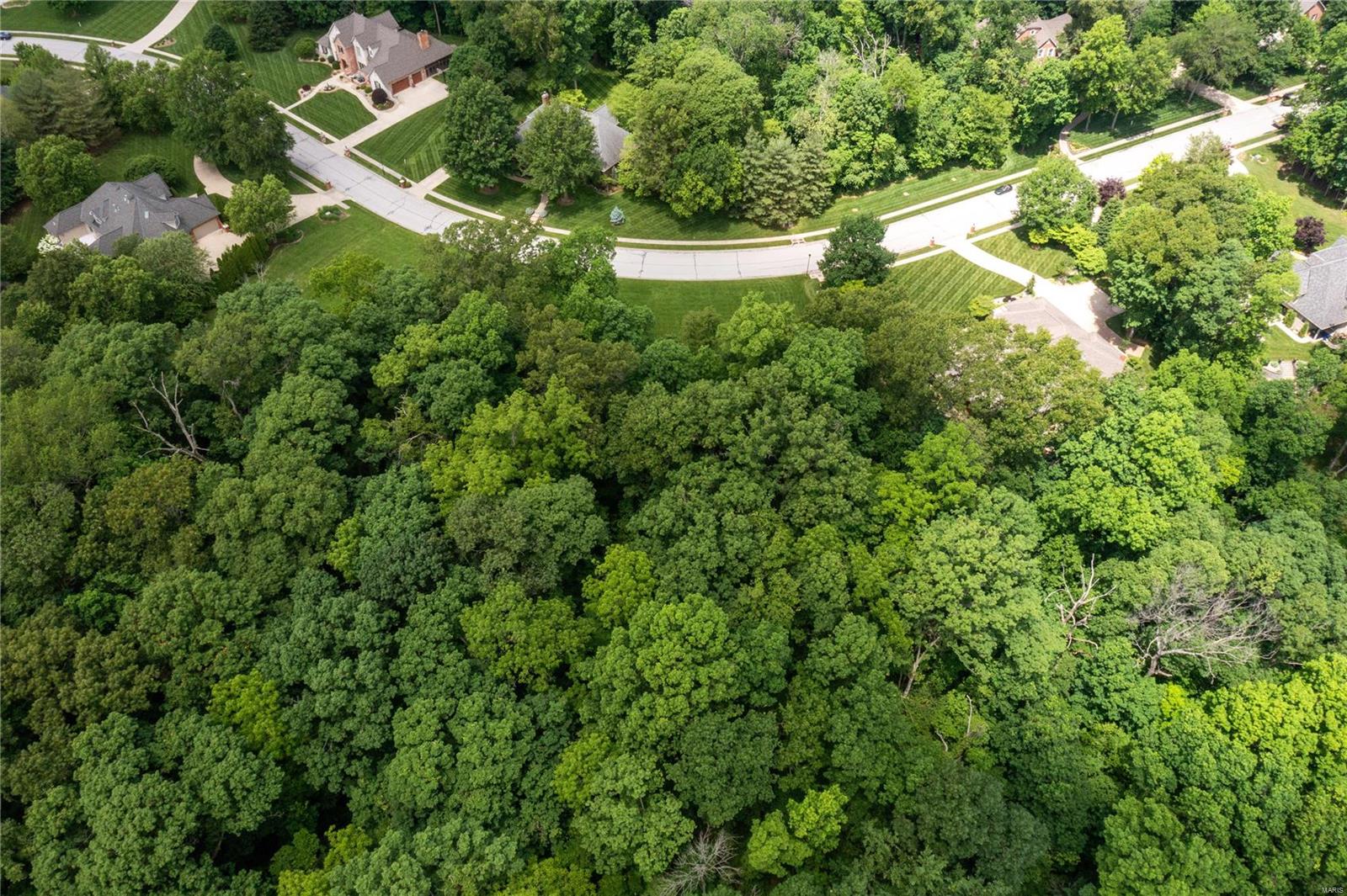 1236 Rutherford Ridge O'Fallon, IL 62269 - Photo 7 of 18