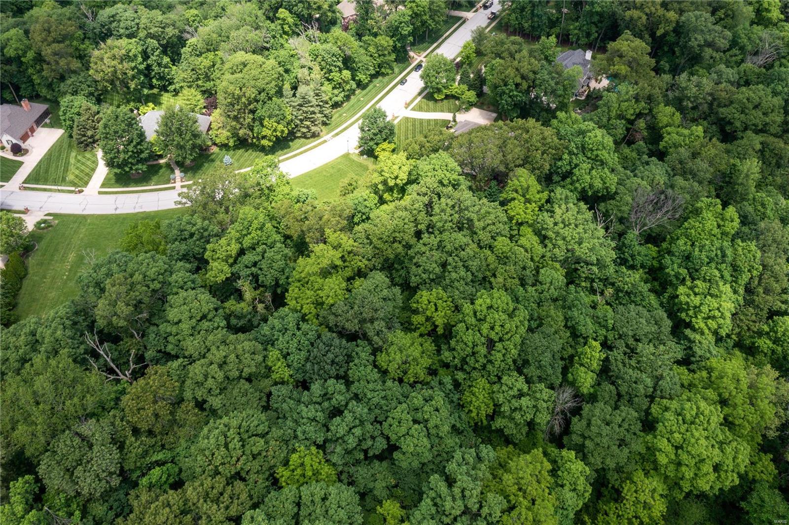 1236 Rutherford Ridge O'Fallon, IL 62269 - Photo 9 of 18