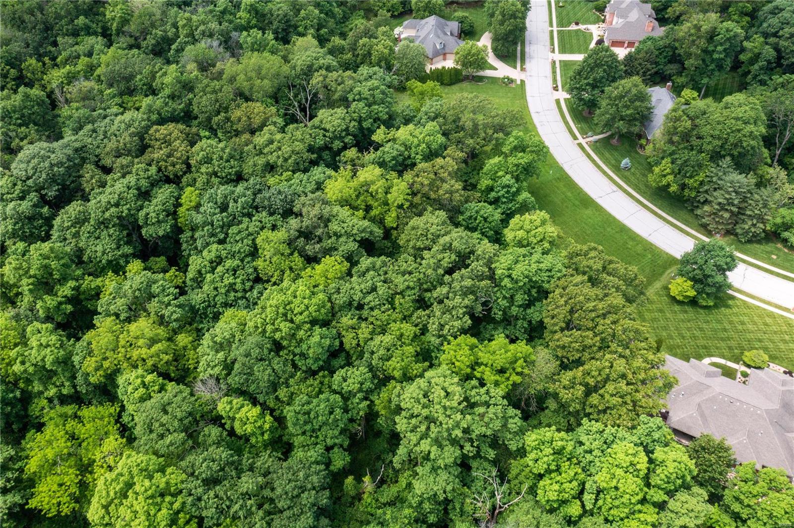 1236 Rutherford Ridge O'Fallon, IL 62269 - Photo 10 of 18