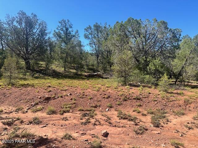 Lot 122 W Ridge Seligman, AZ 86337 - Photo 3 of 7 IMG_9336
