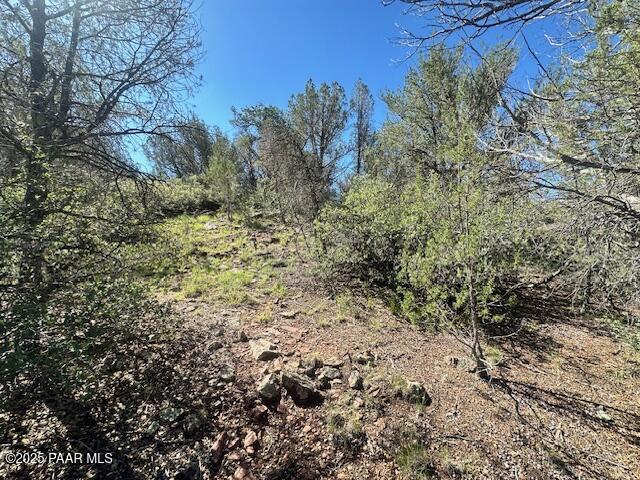 Lot 122 W Ridge Seligman, AZ 86337 - Photo 6 of 7 IMG_9340