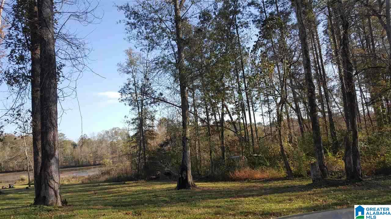 36 Haven Circle, Unit 35&36 Riverside, AL 35135 - Photo 1 of 7 Gallery Image 1