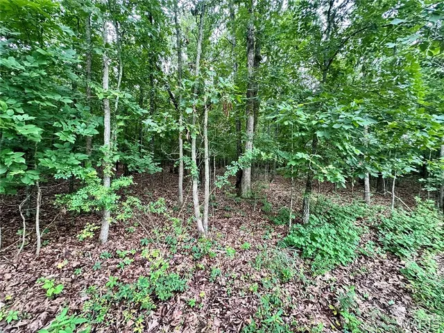 $52,500 | 0 Co Road, Salem, MO 65560