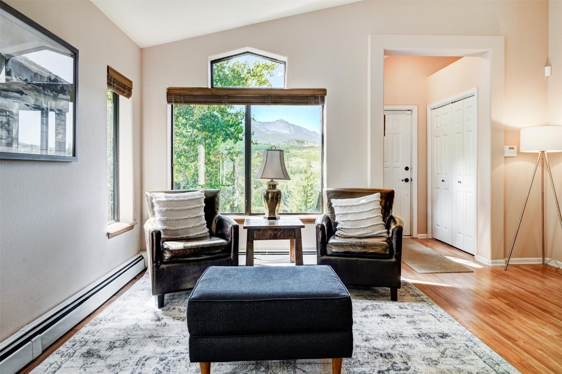 253 Blue Ridge Road Breckenridge, CO 80424 - Photo 5 of 33 Gallery Image 5
