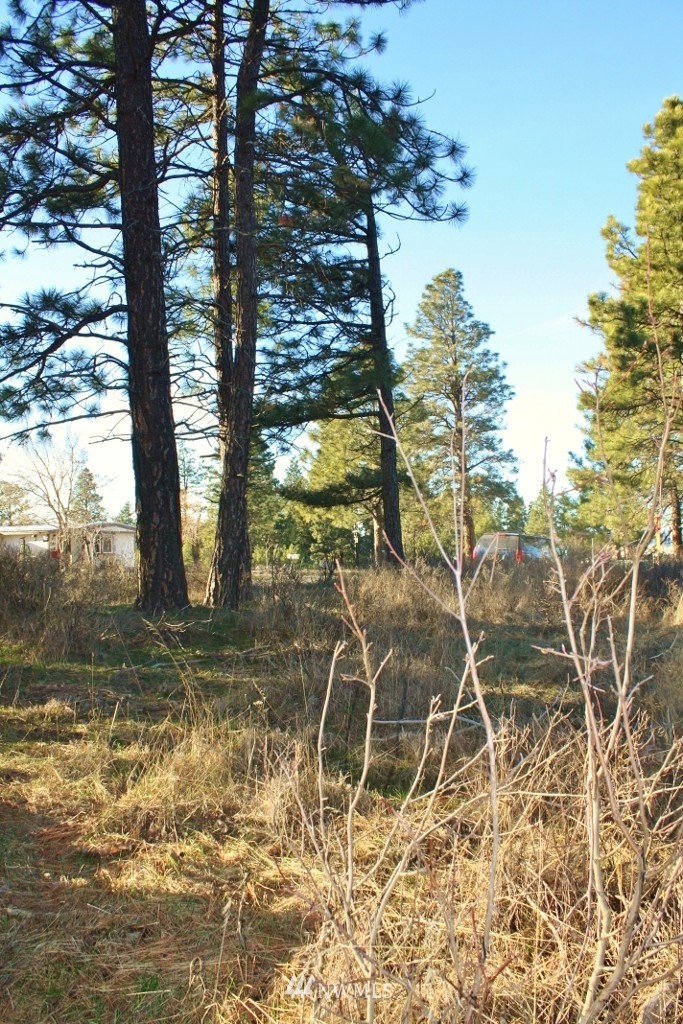 13 Ridge Loop Road Cle Elum, WA 98922 - Photo 6 of 11 Gallery Image 6