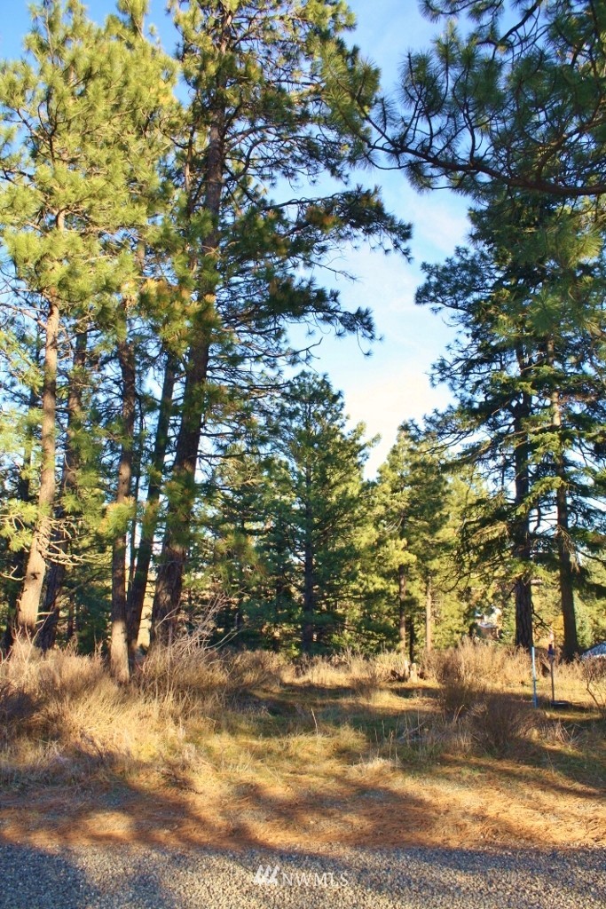 13 Ridge Loop Road Cle Elum, WA 98922 - Photo 9 of 11 Gallery Image 9